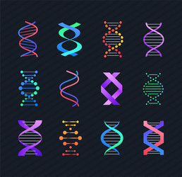 Dna molecule - line design style elements vector