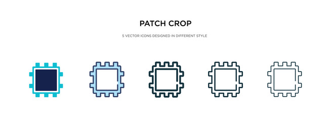 Patch crop icon in different style two colored vector