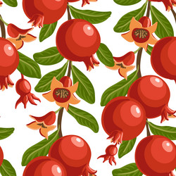 seamless pattern with pomegranate vector image