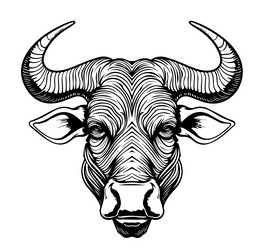 cow head sketch hand drawn Vector Image