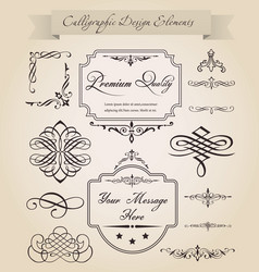 Vintage set calligraphic design elements and page Vector Image