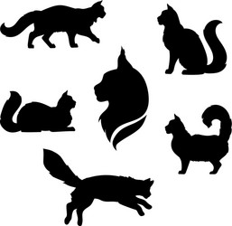 Maine Coon Cat Silhouettes Vector Image