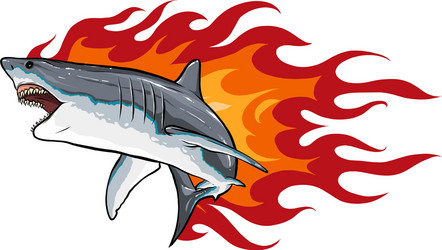 danger shark with flames for tattoo or mascot vector