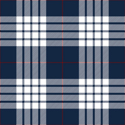 blue white tartan plaid seamless pattern vector