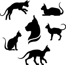Sphynx Cat Silhouettes & Icons Vector Image