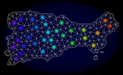 polygonal carcass mesh map capri island vector image