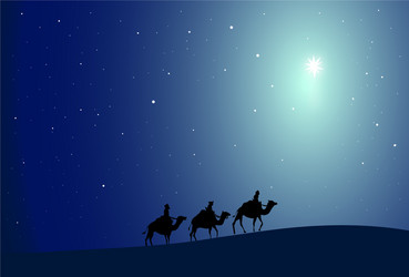 Three Wise Men with Star of Bethlehem Vector Image