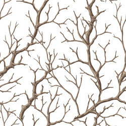 seamless pattern with dry bare branches vector image