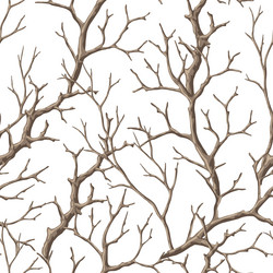 Seamless pattern with dry bare branches vector