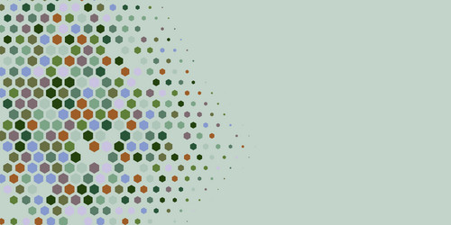 geometric multi size hexagon with color vector image