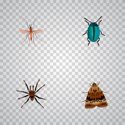 set of bug realistic symbols with mosquito insect vector image