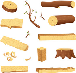 Planks from trees and different wood elements vector