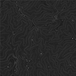 topographic map seamless pattern background vector image