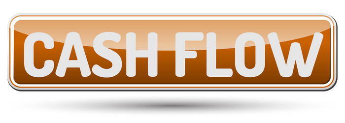 cash flow - abstract beautiful button with text vector image