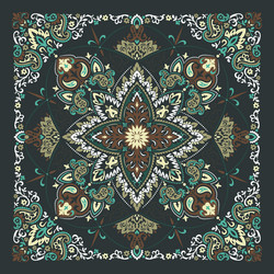 Paisley Bandana Print Vector Image