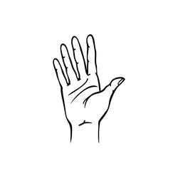 Sketch of a Hand Showing Five Fingers vector image