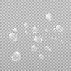 transparent water bubble isolated vector