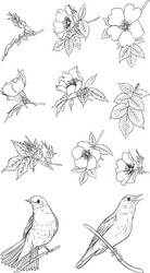 Antique Rose Collection Vector Image