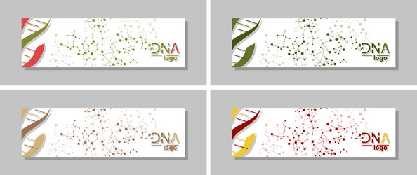 dna molecule brochure template flyer layout vector