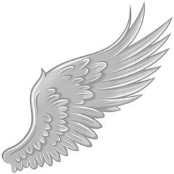 angel wings design vector