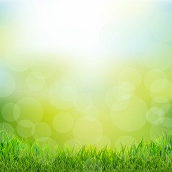 natural background with grass border vector