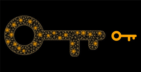 key - bright web net with glare spots vector image