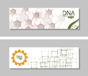 dna molecule brochure template flyer layout vector