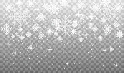 Snowflakes in different shapes and forms vector