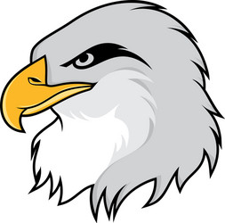 eagle head Vector Image