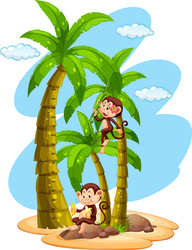 growth chart ruler with two monkeys on tree vector image