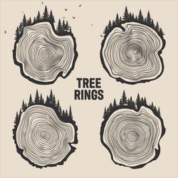 round tree trunk cuts with trees forest and birds vector image