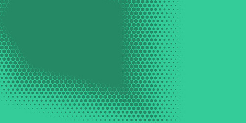 geometric abstract hexagon two color background vector image