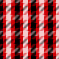 abstract background with a plaid style design vector image