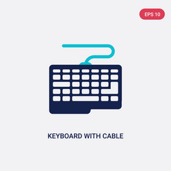 two color keyboard with cable icon from computer vector image