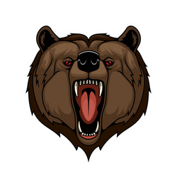 grizzly bear head mascot isolated wild predator Vector Image