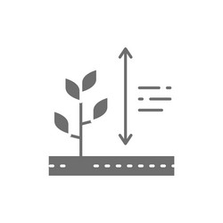 plants growing plant height grey icon vector