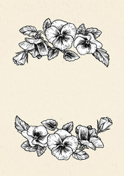 frame with hand drawn pansy flowers vector