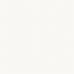 abstract geometric pattern with stripes lattice vector image