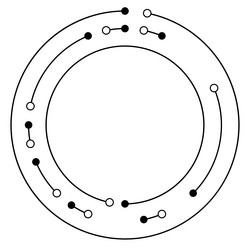 circular concentric lines segmented circles vector image