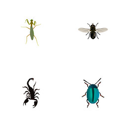 Set of bug realistic symbols with insect scorpion vector