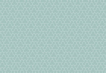 seamless abstract pattern with hexagonal vector image