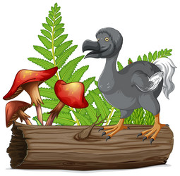 Dodo bird extinct animal Royalty Free Vector Image