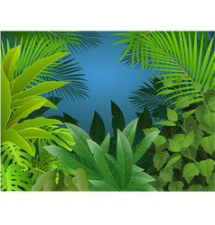 Tropical forest background Royalty Free Vector Image
