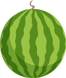 Watermelon fruit isolated vector