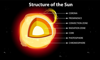 Structure of the sun Royalty Free Vector Image