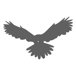 owl wing eagle silhouette Vector Image