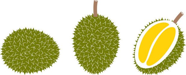 Durian vector