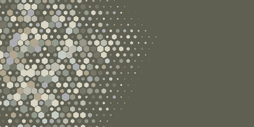geometric multi size hexagon with color vector