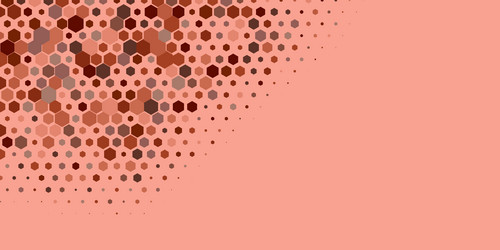 geometric multi size hexagon with color vector