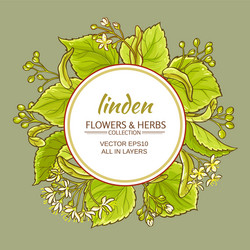 Linden set Royalty Free Vector Image - VectorStock